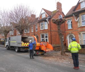 tree pruning safely close to houses