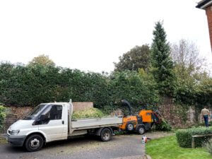 professional hedge trimming crew carrying out service